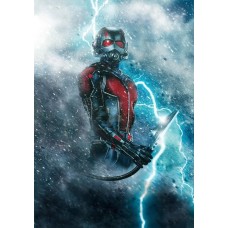 162270 vafa Ant Man 30x20cm